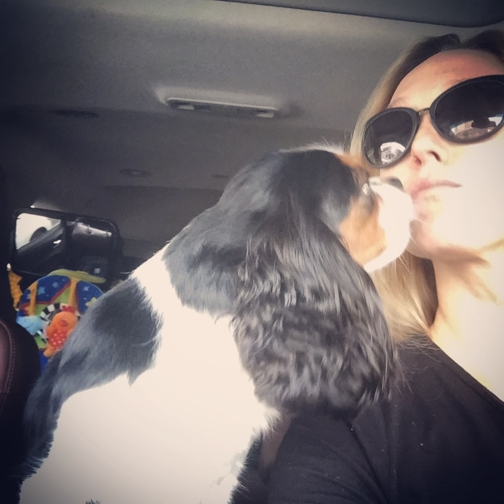 Meet your Posher, Kate